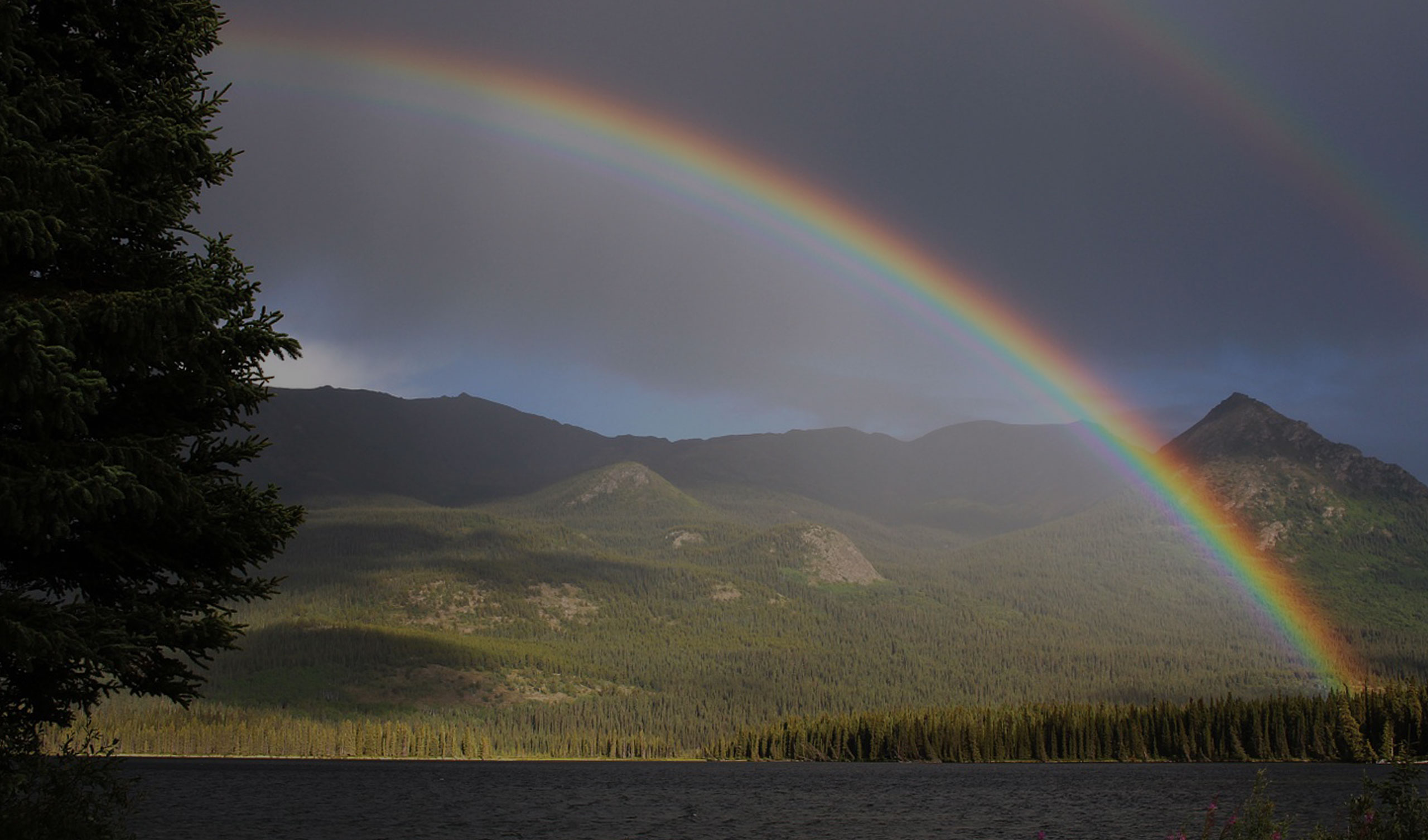 over-50, e nasce l'arcobaleno